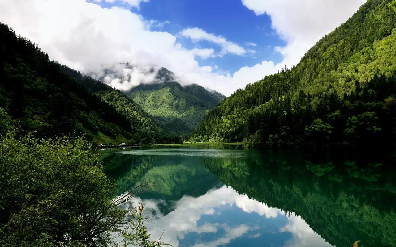 高效智能化高效